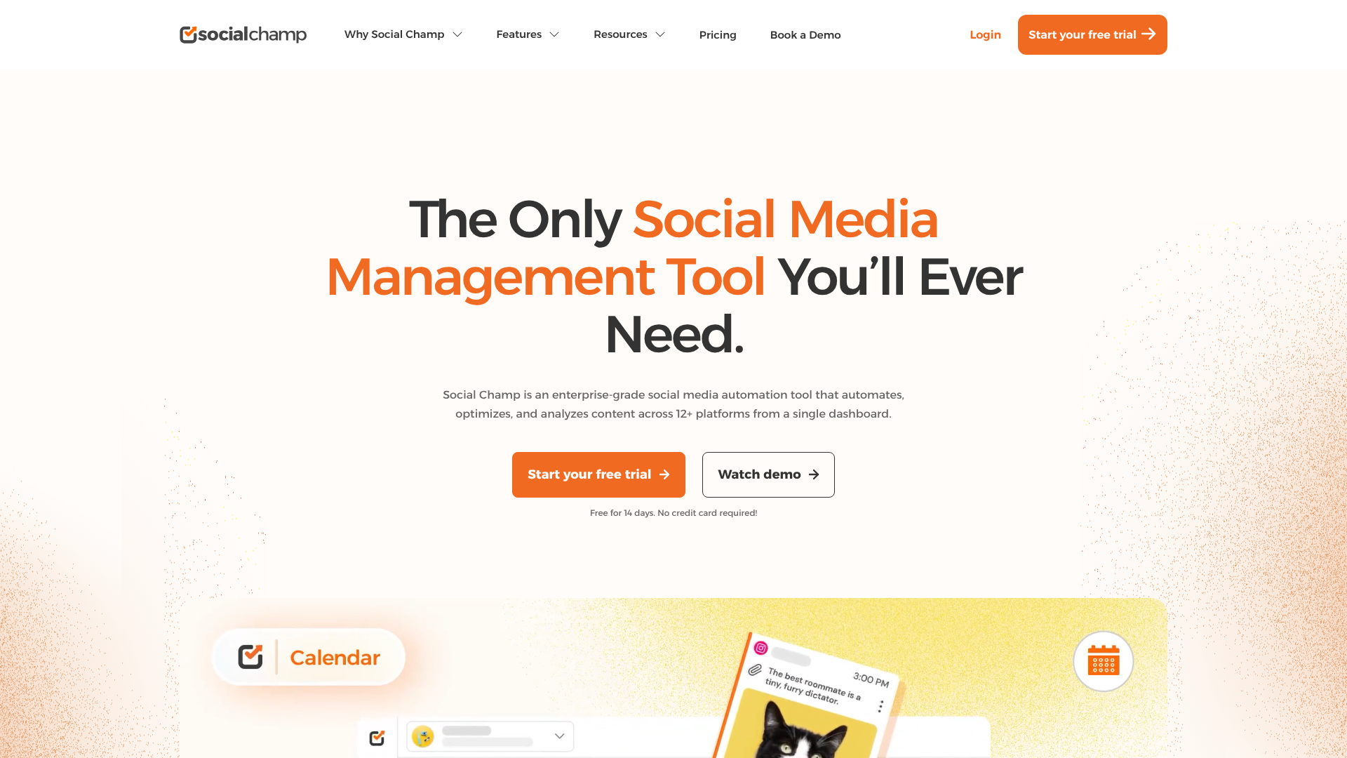 Socialchamp homepage screenshot